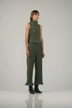 Nin StudioSimple Pleat Pant - Moss -Drape Hut Sales Store SIMPLE PLEAT PANT 20231010220117