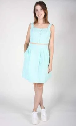 Birds Of North AmericaStarique Skirt - Mint Seersucker